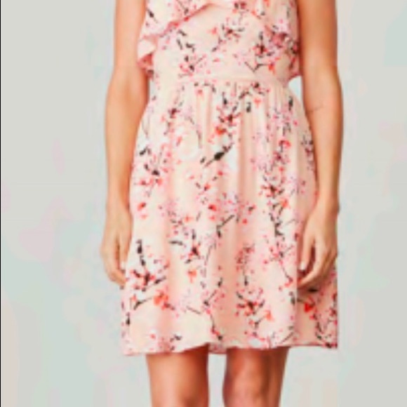 Adorable and brand new Cupcakes and Cashmere dress - Picture 2 of 6